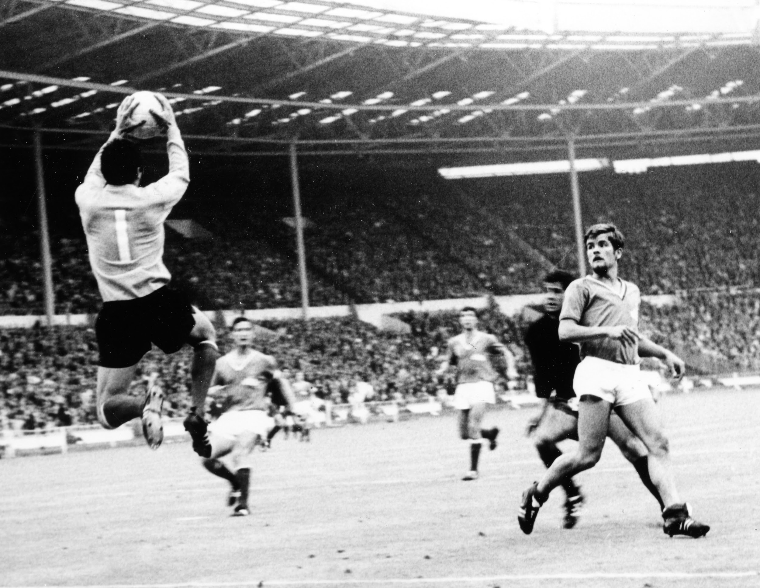Inglaterra 1966 - Parada de Gol